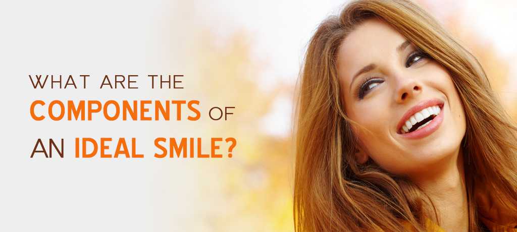 WHAT ARE THE COMPONENTS OF AN IDEAL SMILE?