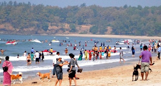 10 Most Beautiful Beaches For Holidays In India - latestworldtrends.com