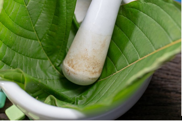 6 Magical Benefits That Make Kratom Better than Allopathic Medicines