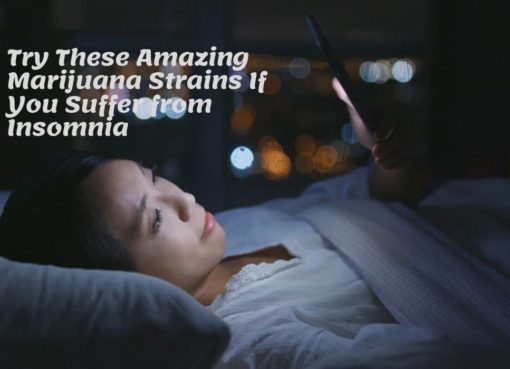 Try These Amazing Marijuana Strains If You Suffer from Insomnia